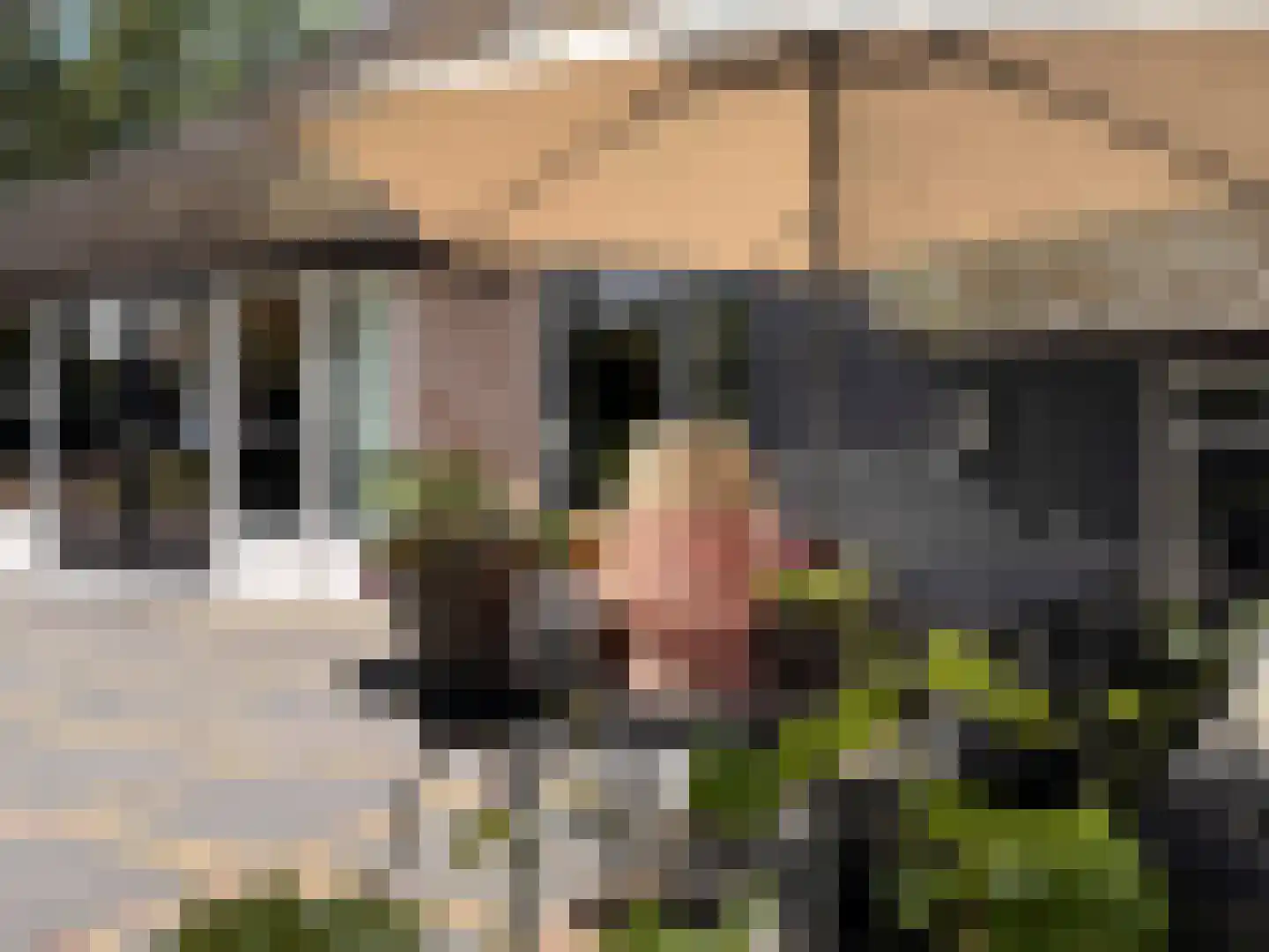 Leeuwte 20 Sint Jansklooster thumbnail 72