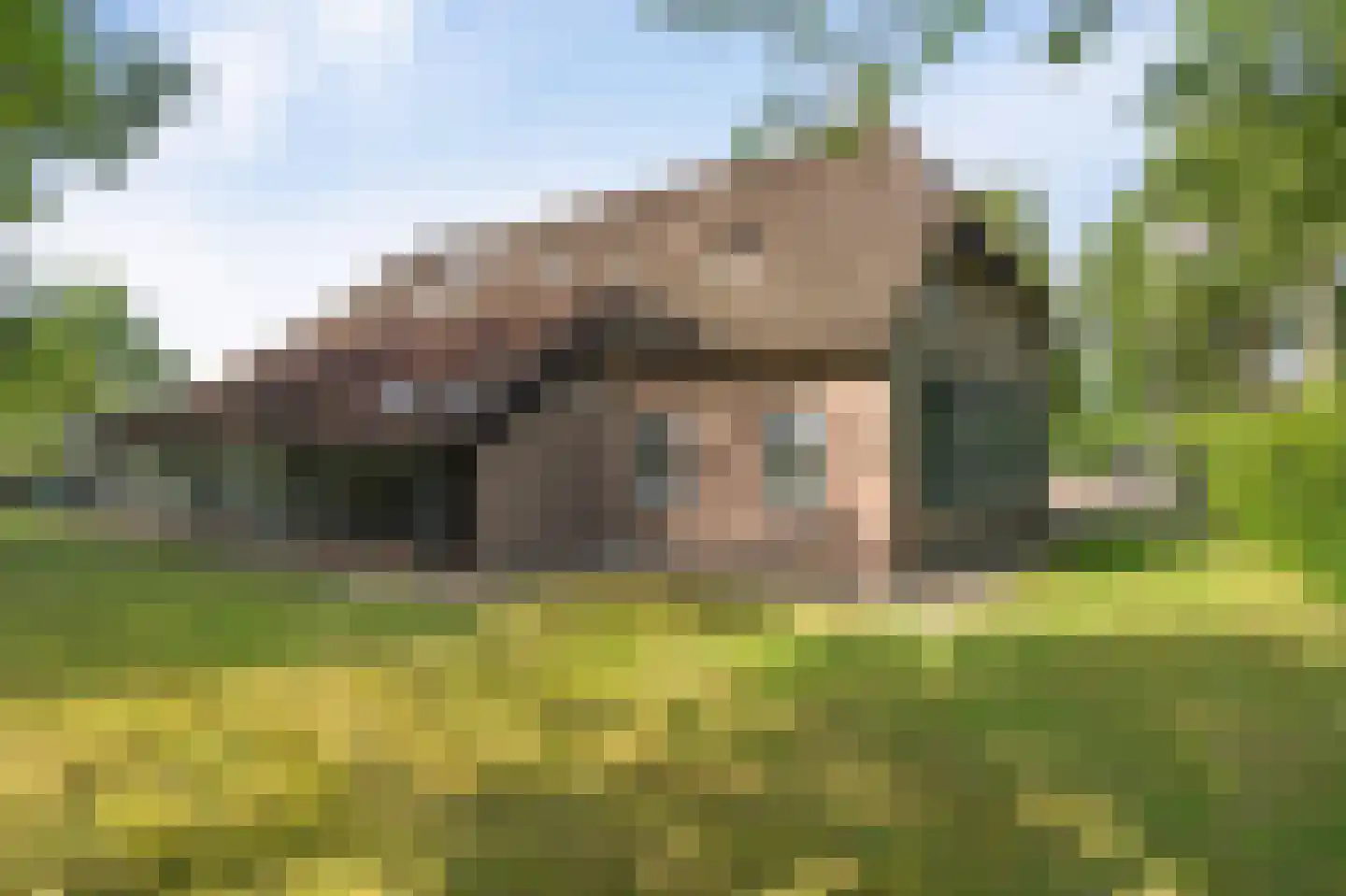 Leeuwte 20 Sint Jansklooster thumbnail 74