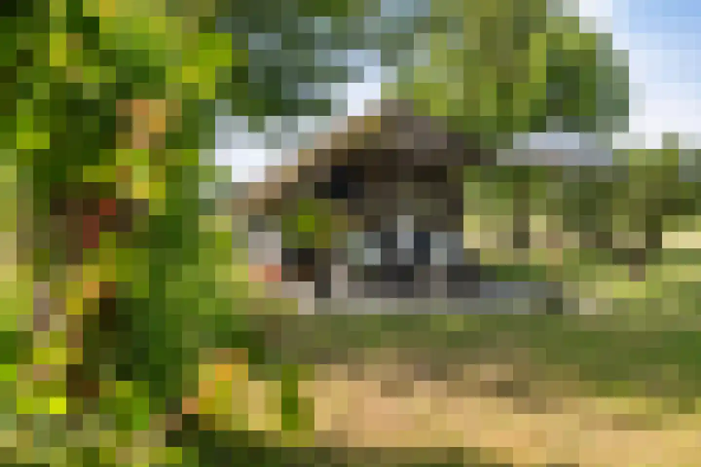 Leeuwte 20 Sint Jansklooster thumbnail 75