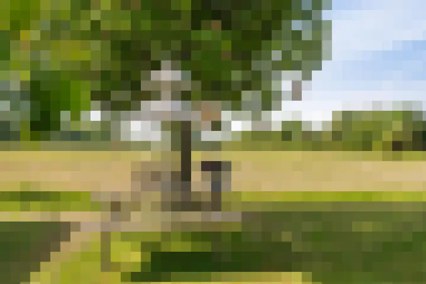 Leeuwte 20 Sint Jansklooster thumbnail 76