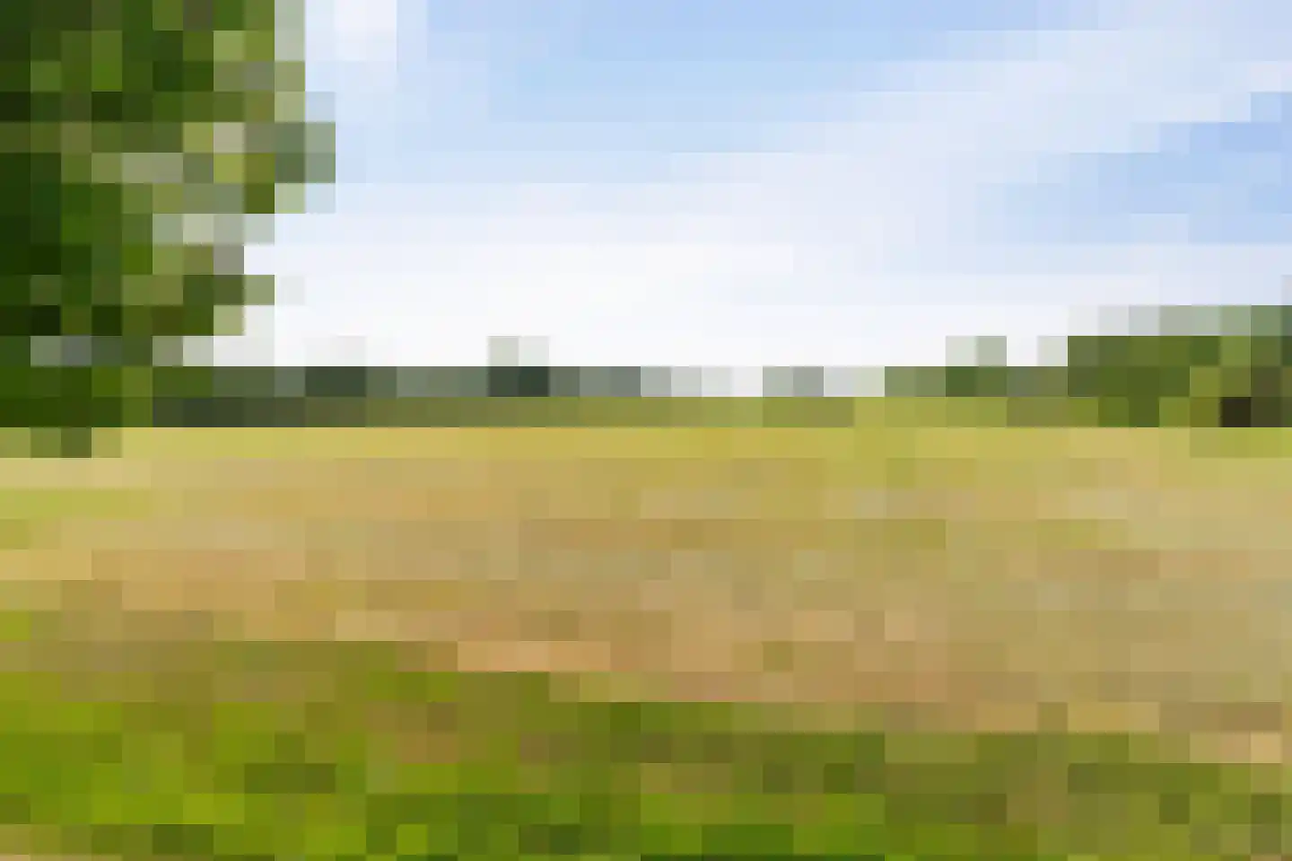 Leeuwte 20 Sint Jansklooster thumbnail 77