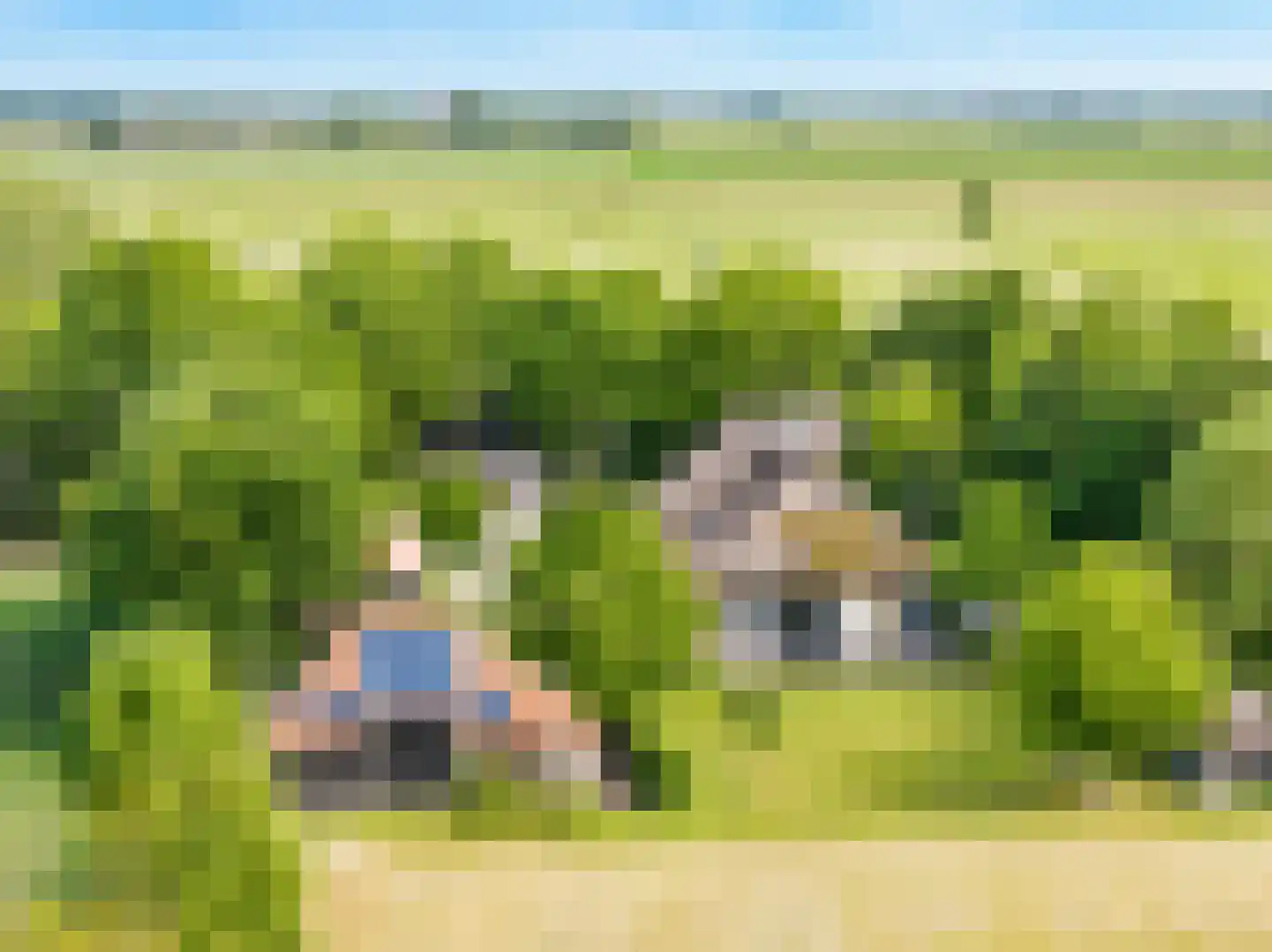 Leeuwte 20 Sint Jansklooster thumbnail 8
