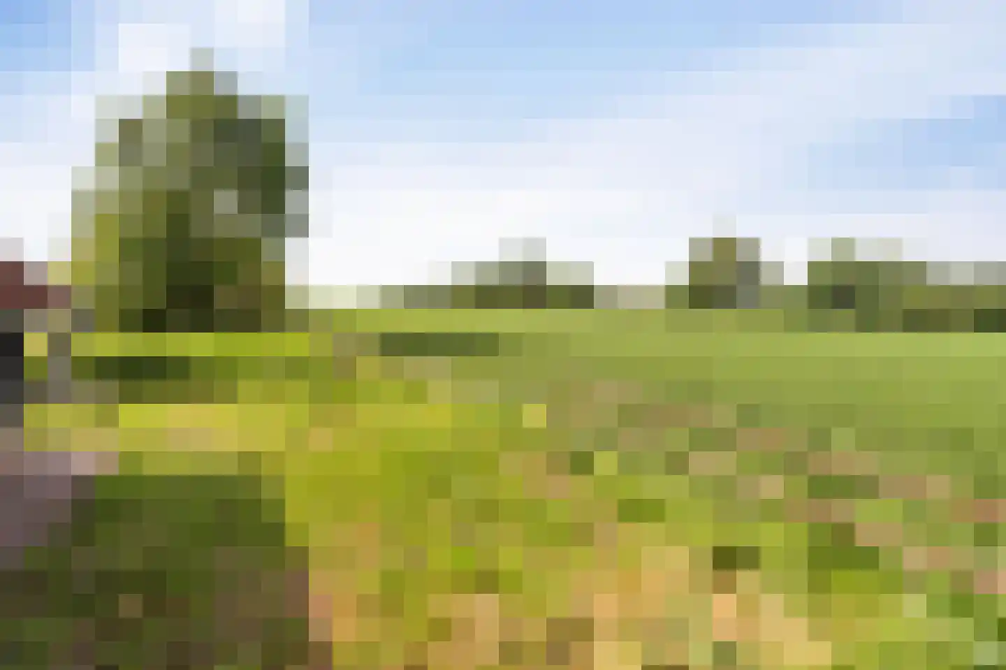 Leeuwte 20 Sint Jansklooster thumbnail 86