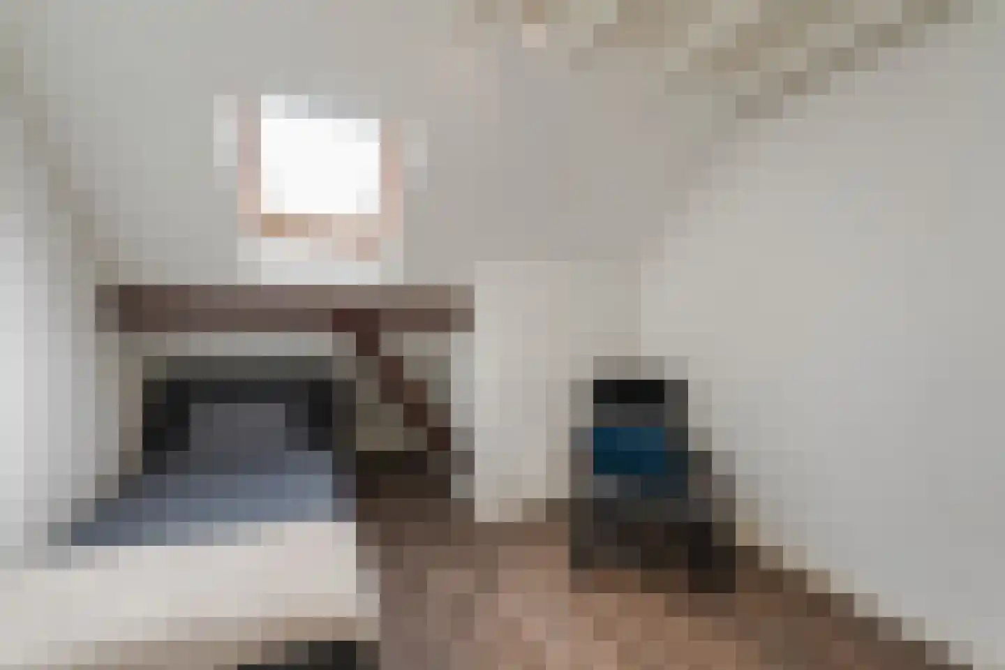 Leeuwte 20 Sint Jansklooster thumbnail 88