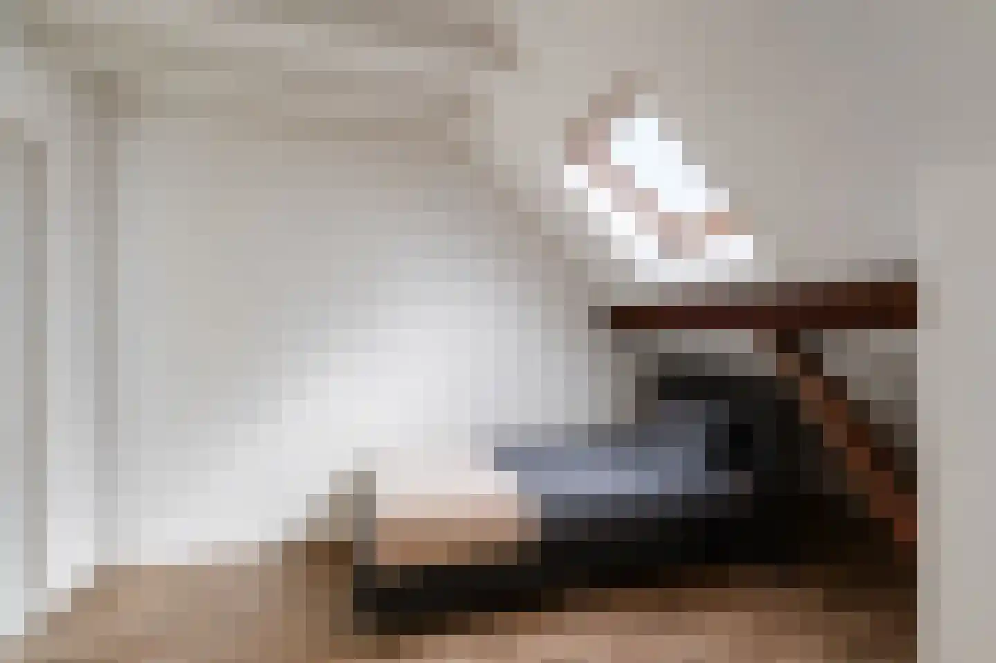Leeuwte 20 Sint Jansklooster thumbnail 89