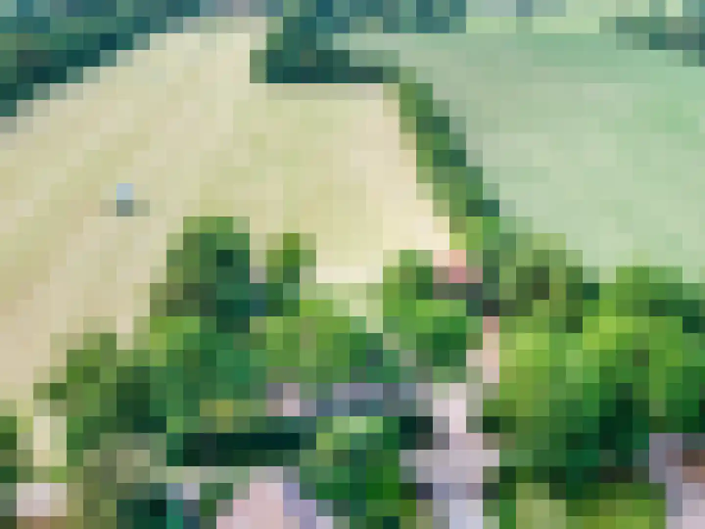 Leeuwte 20 Sint Jansklooster thumbnail 9