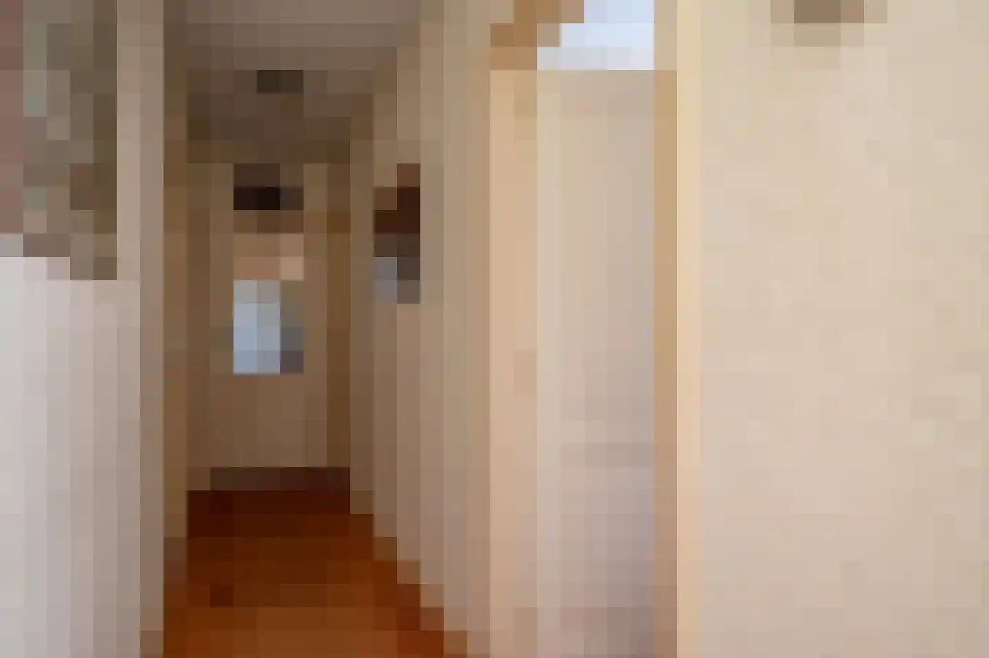 Leeuwte 3 Ruinen thumbnail 11