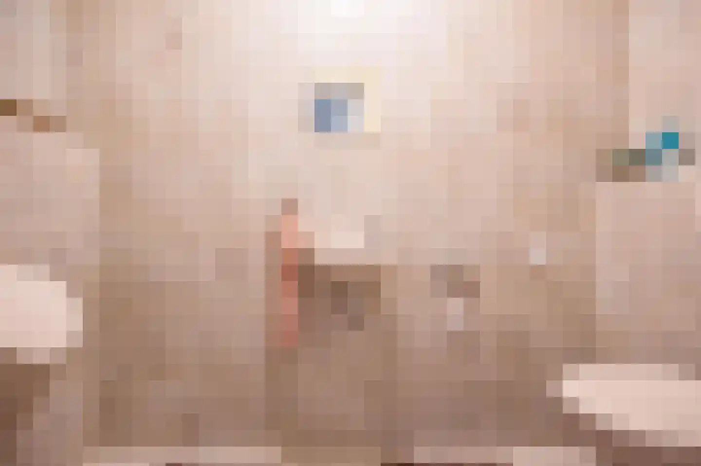 Leeuwte 3 Ruinen thumbnail 16