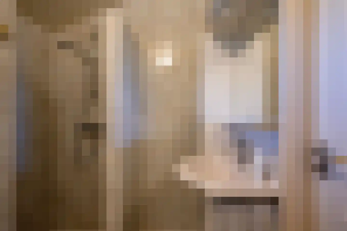 Leeuwte 3 Ruinen thumbnail 29
