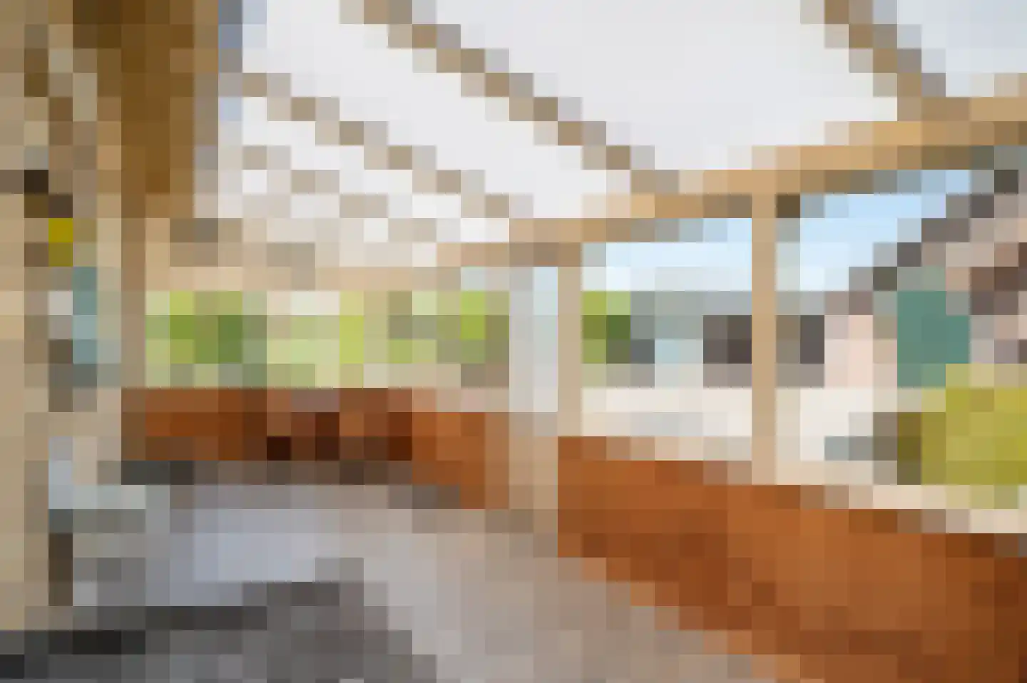 Leeuwte 3 Ruinen thumbnail 33