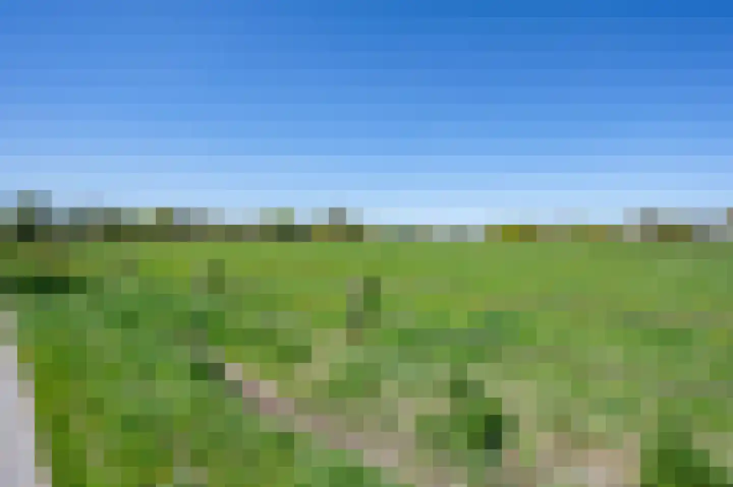 Leeuwte 3 Ruinen thumbnail 41