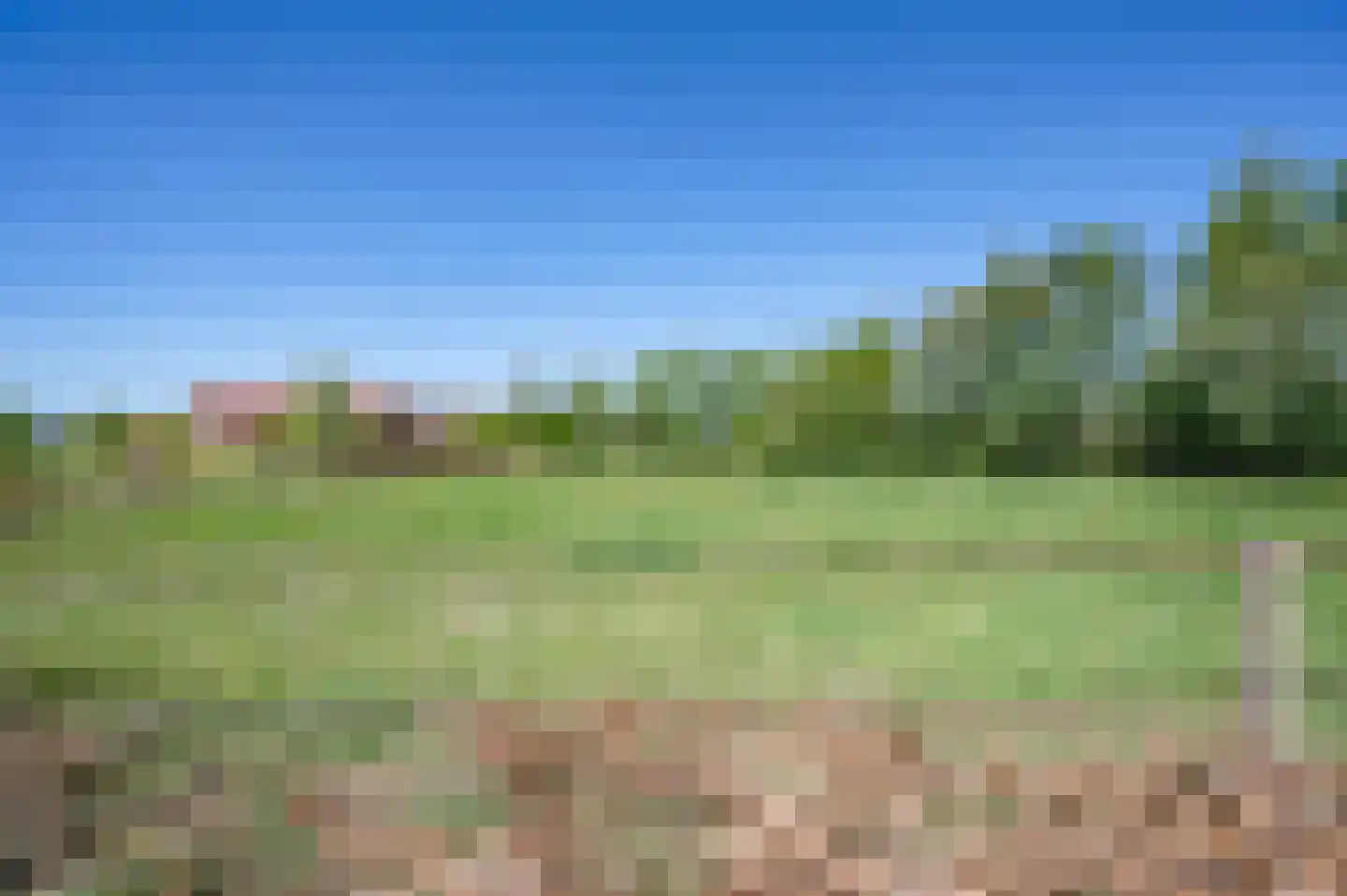 Leeuwte 3 Ruinen thumbnail 45