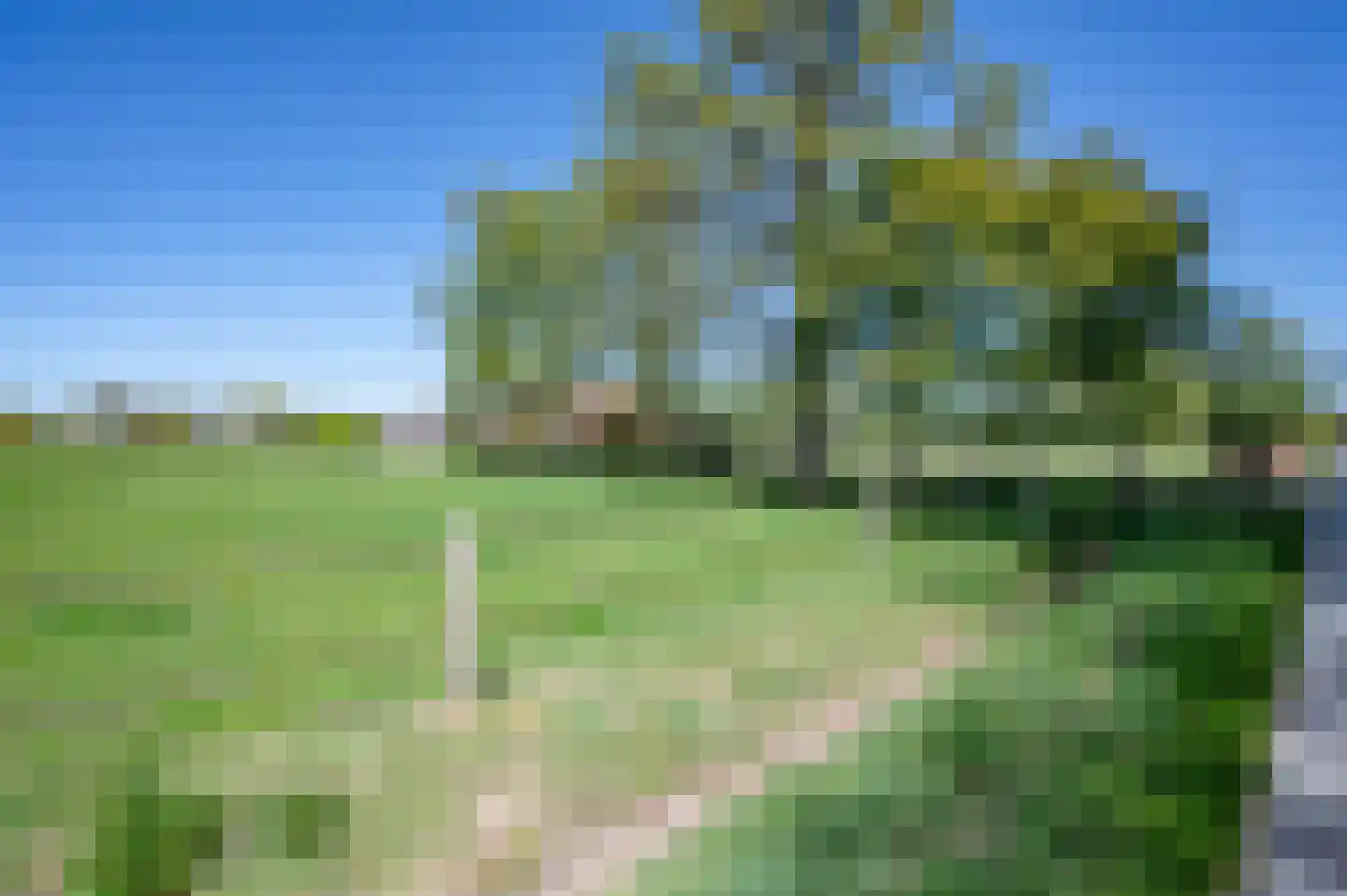 Leeuwte 3 Ruinen thumbnail 46