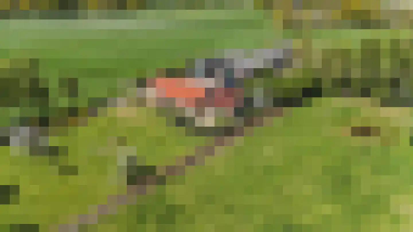 Leeuwte 3 Ruinen thumbnail 48