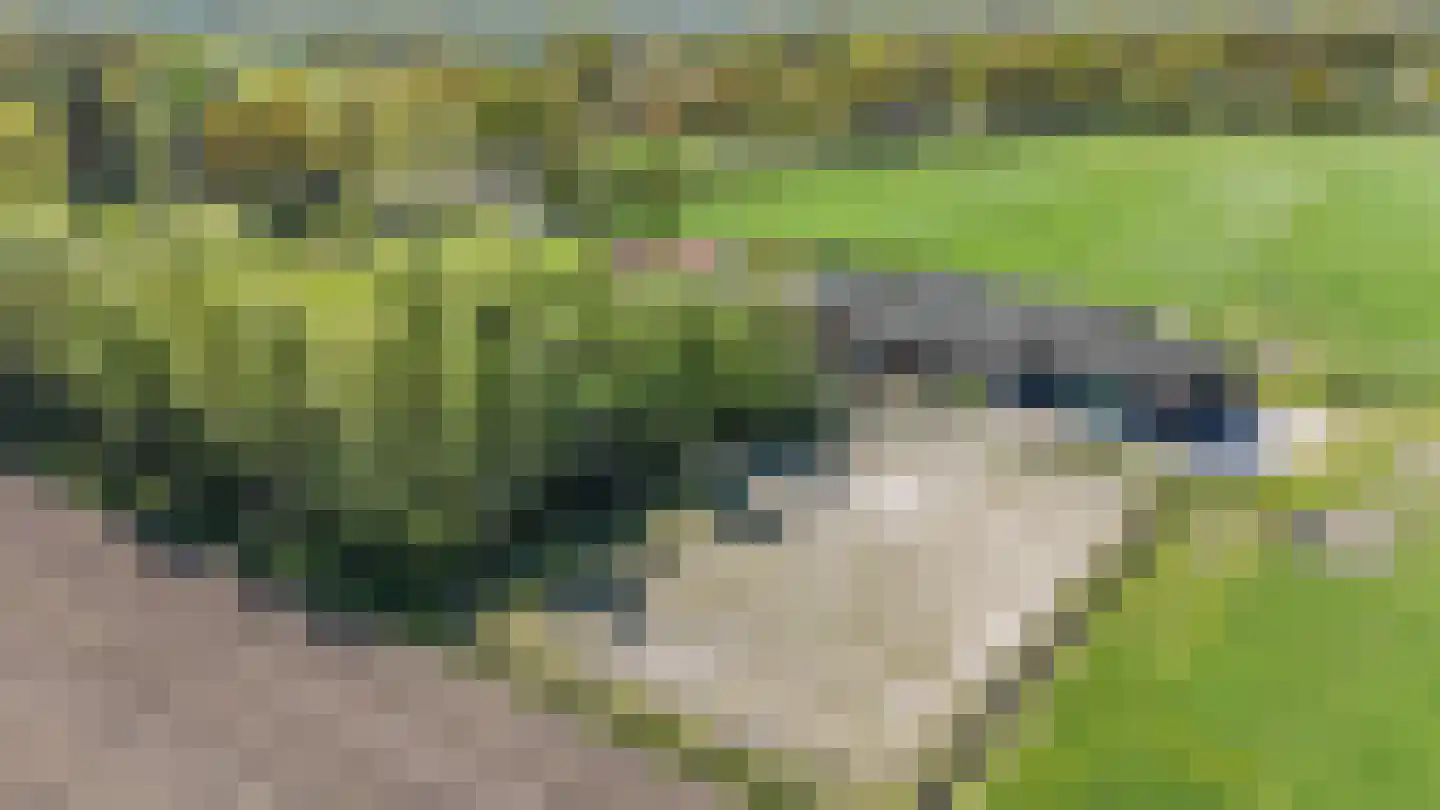 Leeuwte 3 Ruinen thumbnail 49