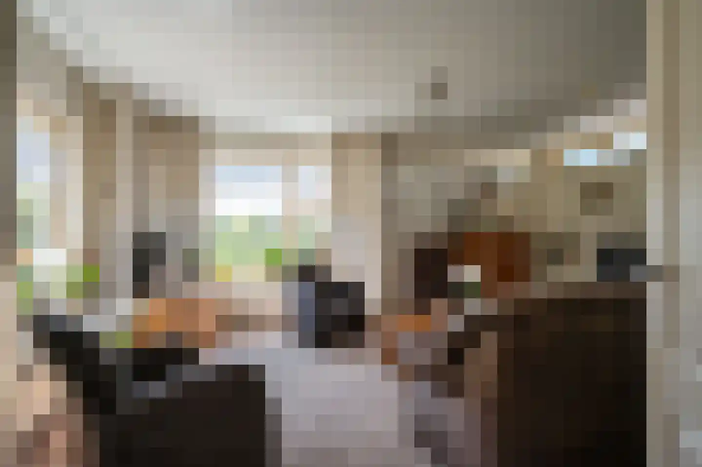 Leeuwte 3 Ruinen thumbnail 6