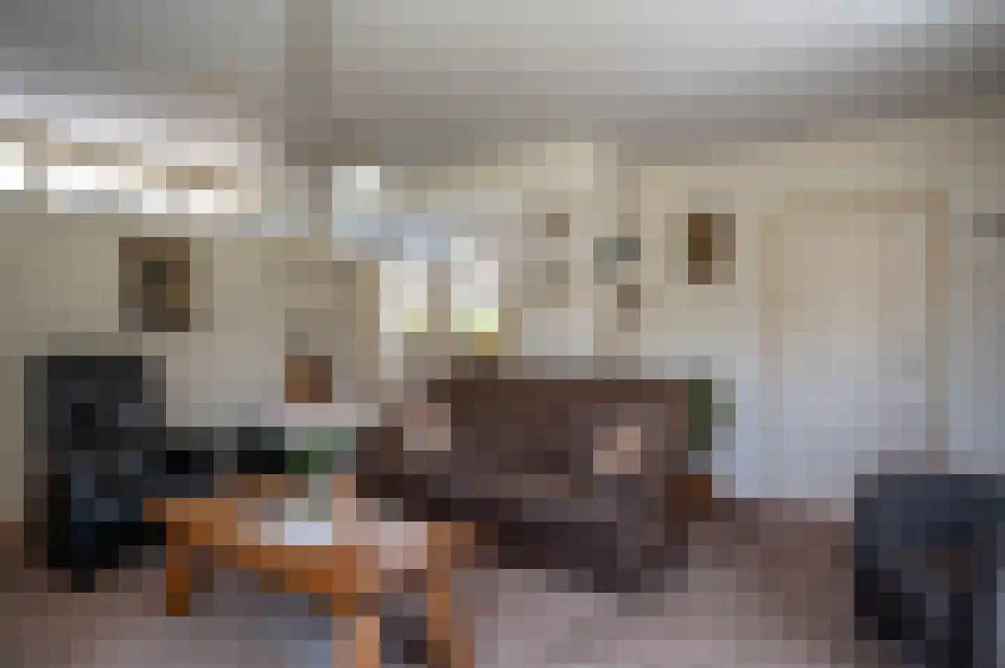 Leeuwte 3 Ruinen thumbnail 8