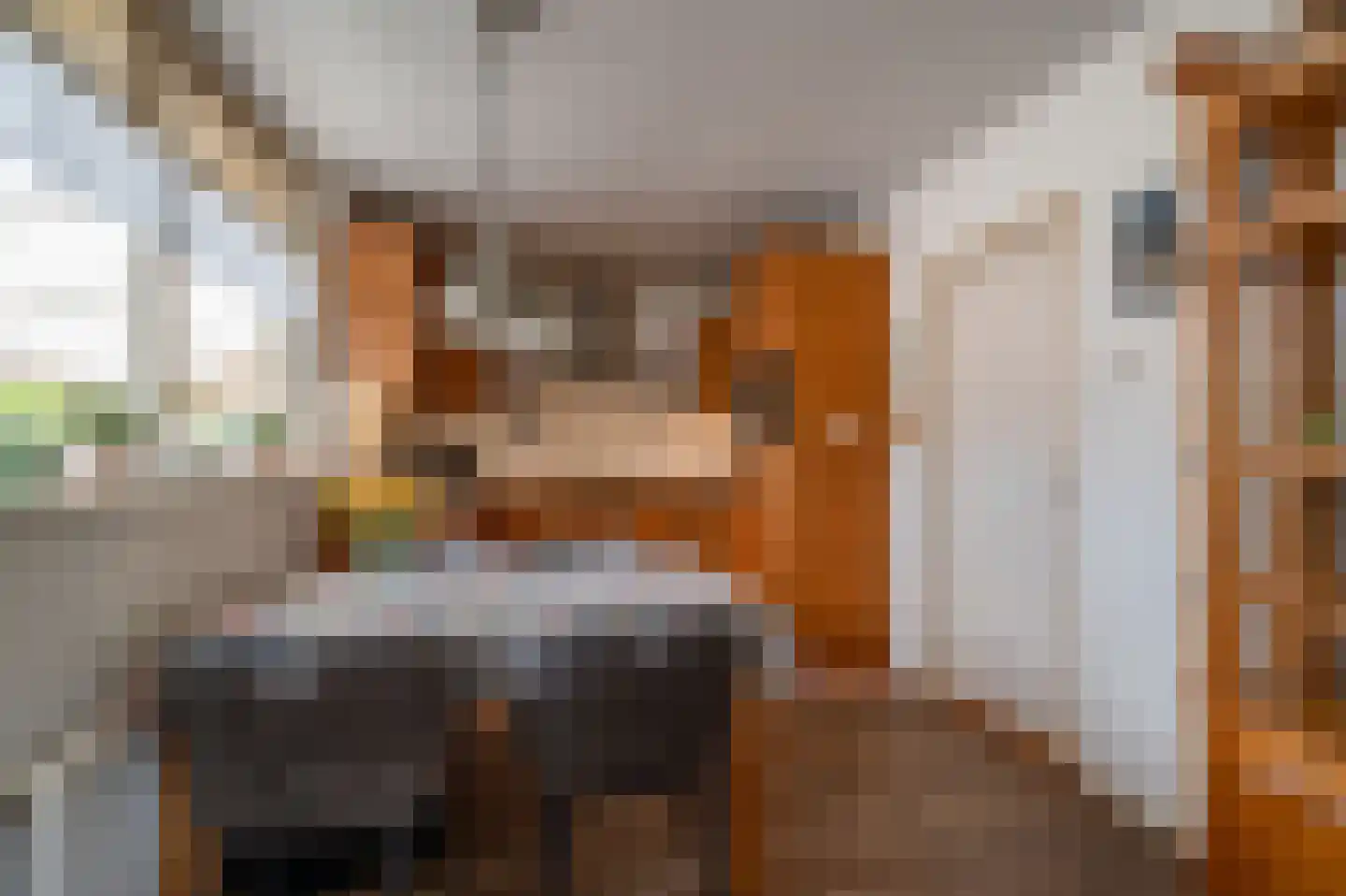 Leeuwte 3 Ruinen thumbnail 9