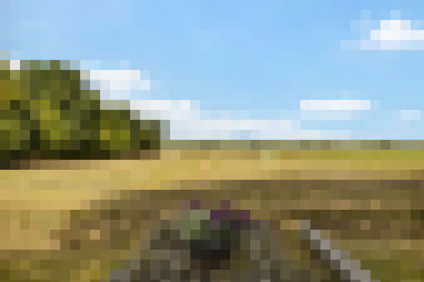 Leeuwte 43 Sint Jansklooster thumbnail 10