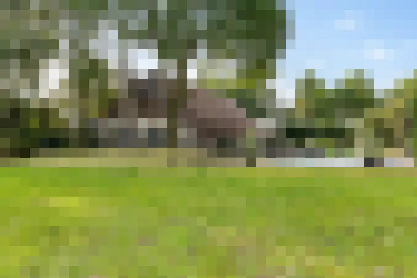 Leeuwte 43 Sint Jansklooster thumbnail 13