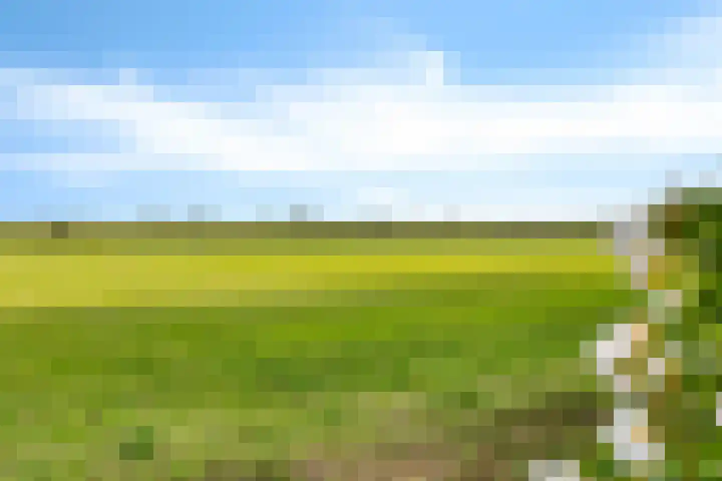 Leeuwte 43 Sint Jansklooster thumbnail 15