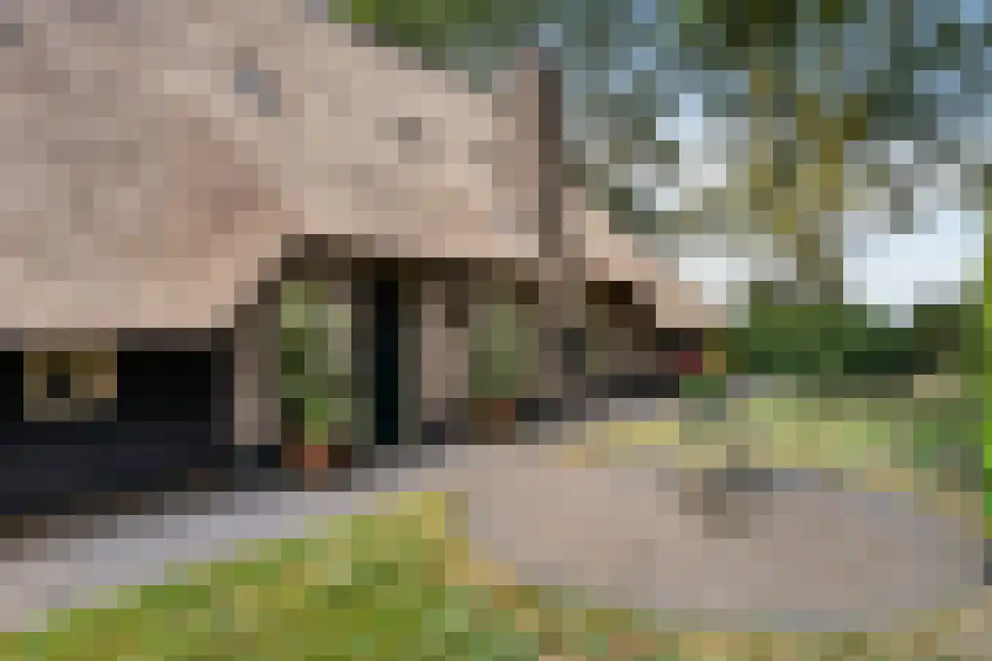 Leeuwte 43 Sint Jansklooster thumbnail 16