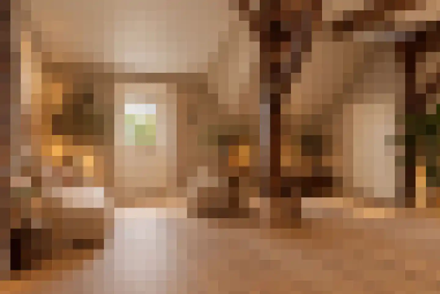 Leeuwte 43 Sint Jansklooster thumbnail 18