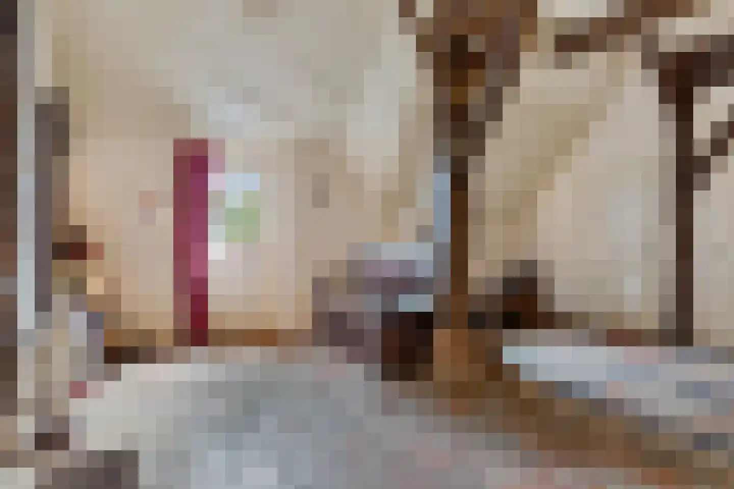 Leeuwte 43 Sint Jansklooster thumbnail 18