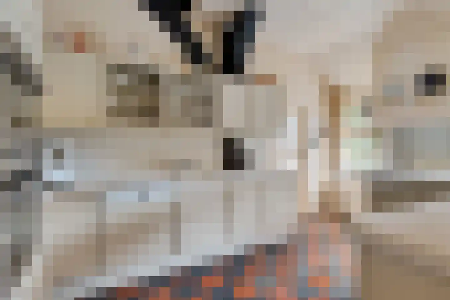 Leeuwte 43 Sint Jansklooster thumbnail 21