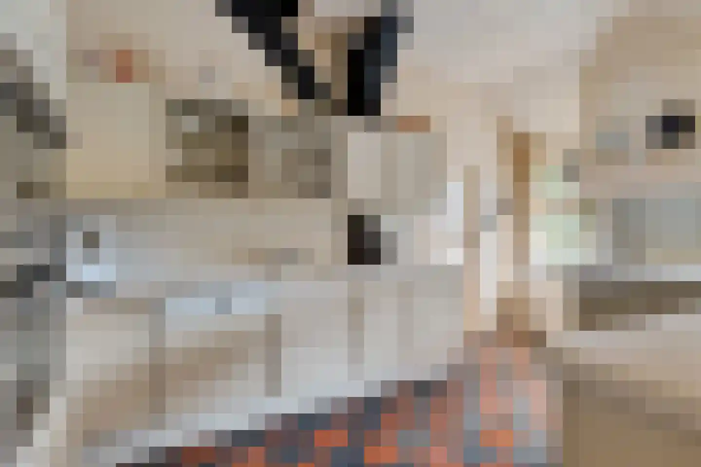 Leeuwte 43 Sint Jansklooster thumbnail 22