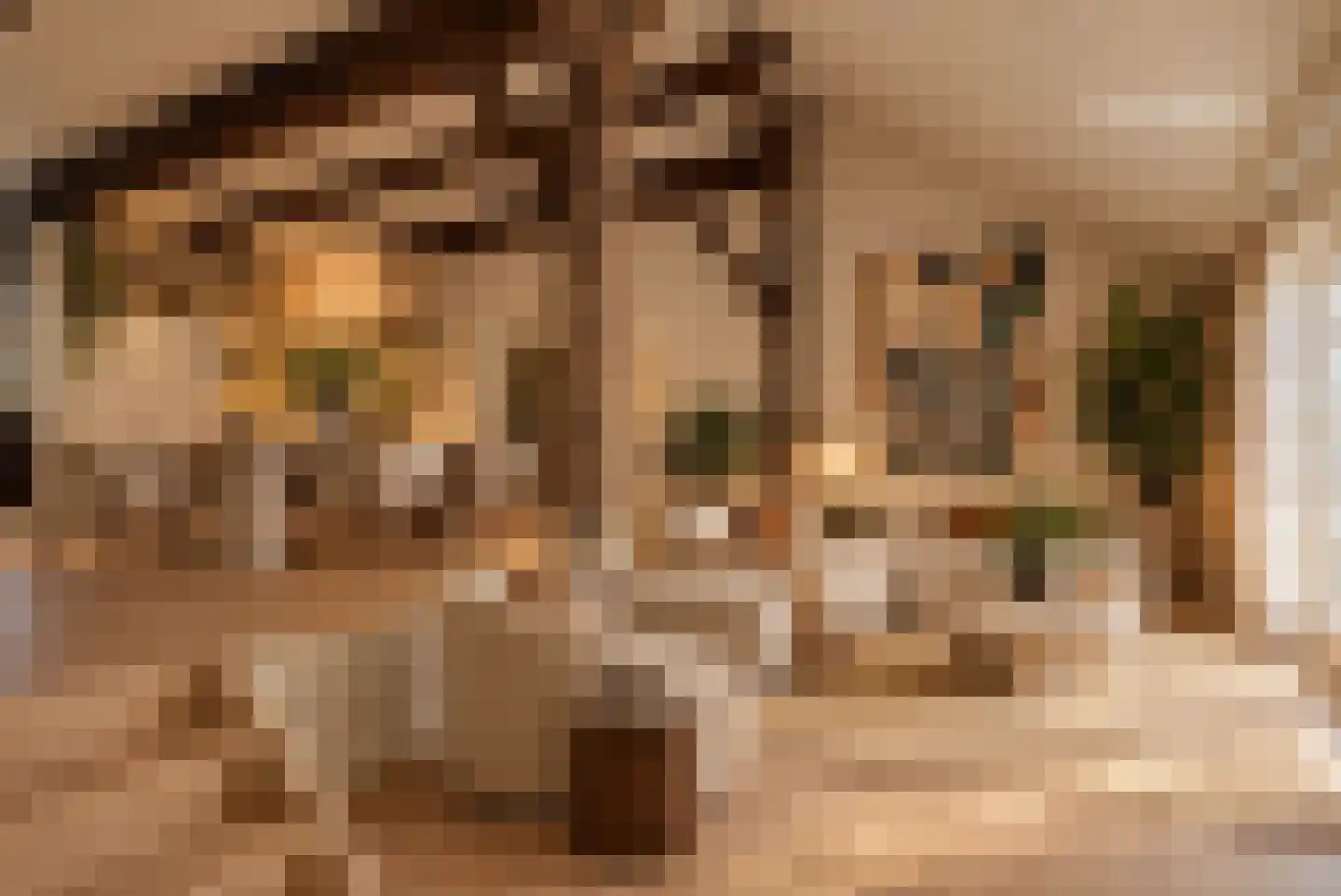 Leeuwte 43 Sint Jansklooster thumbnail 35