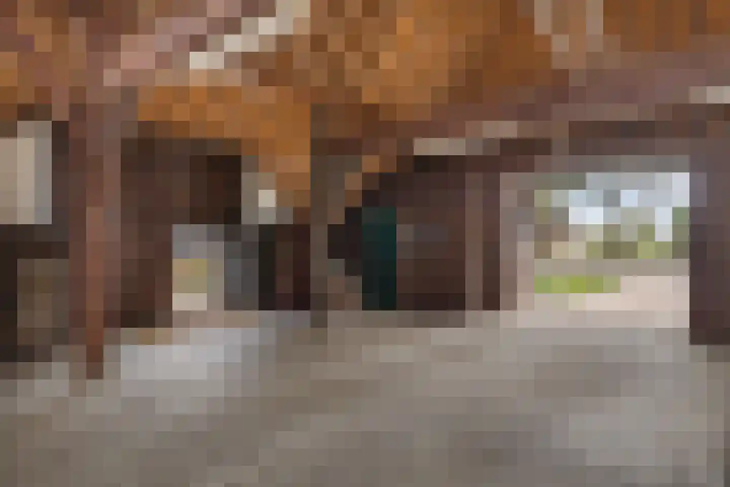 Leeuwte 43 Sint Jansklooster thumbnail 37