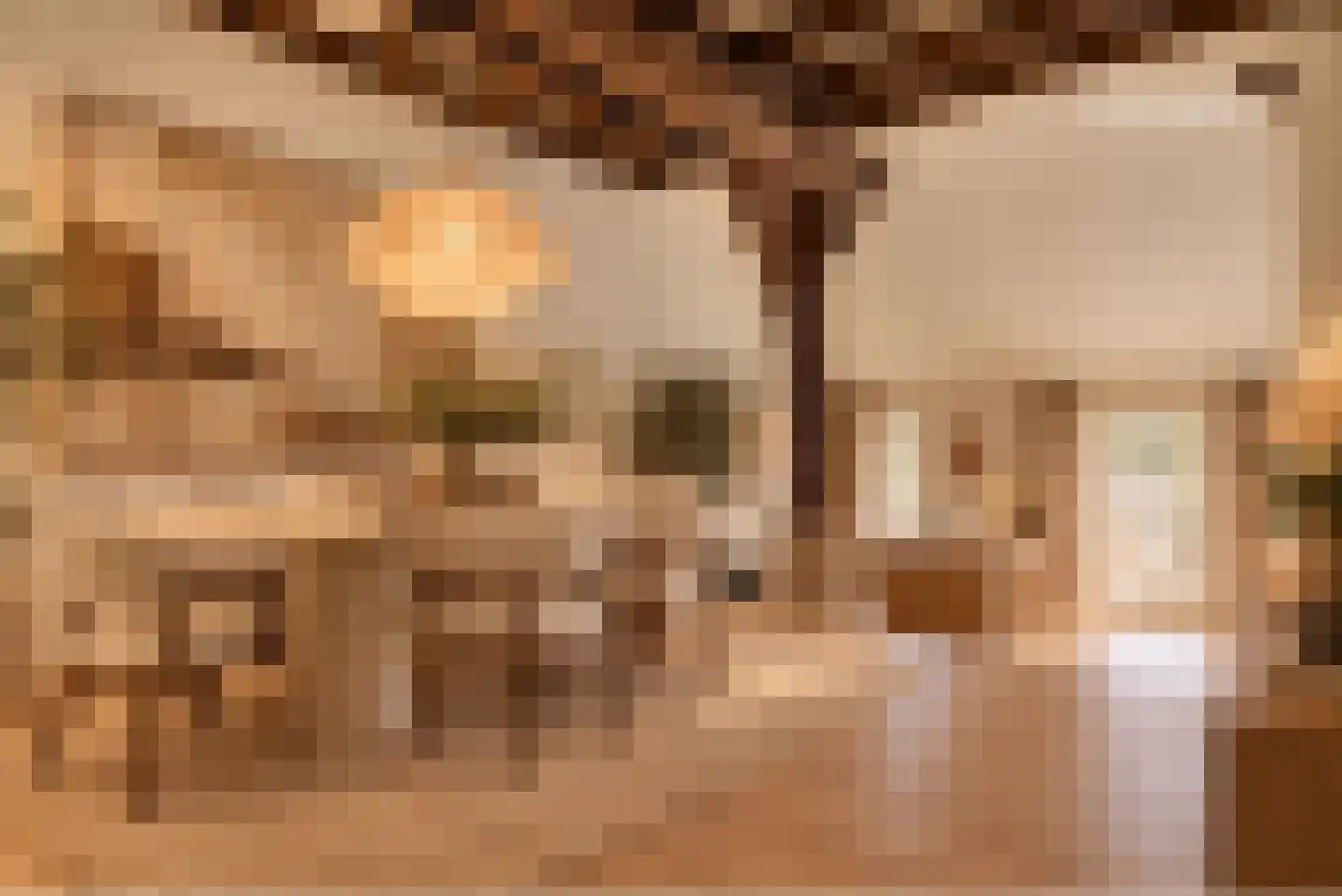 Leeuwte 43 Sint Jansklooster thumbnail 38