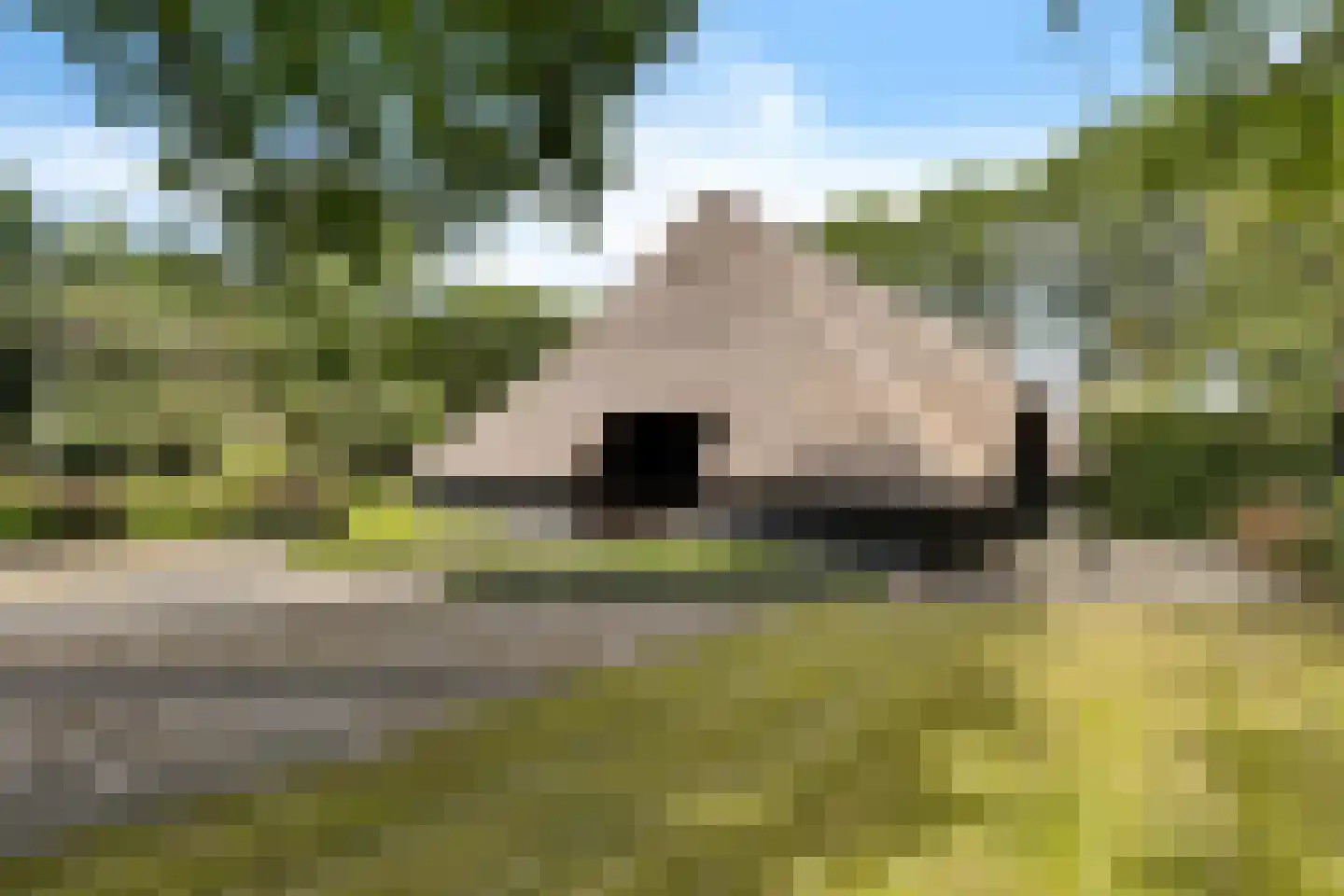 Leeuwte 43 Sint Jansklooster thumbnail 40