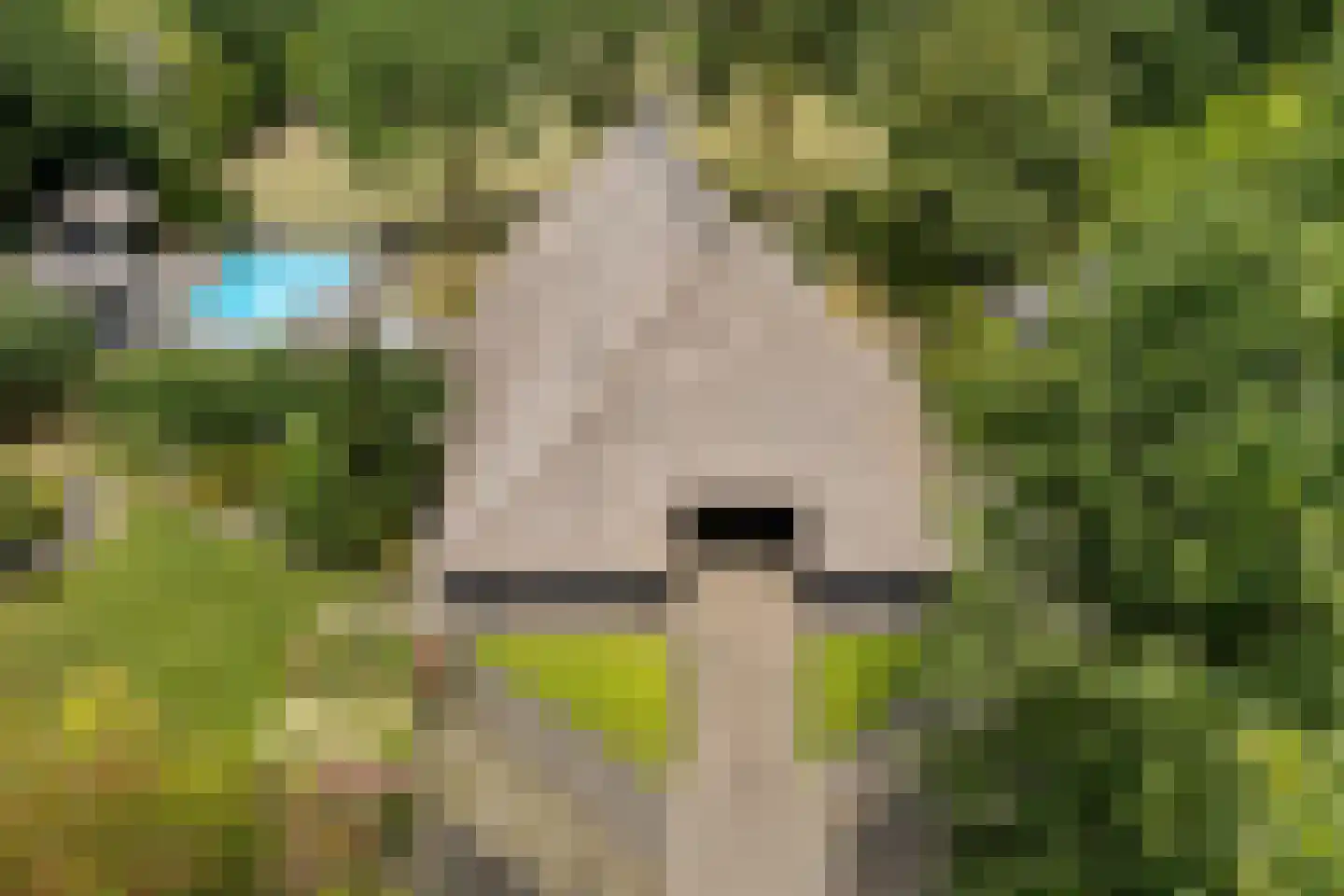 Leeuwte 43 Sint Jansklooster thumbnail 41