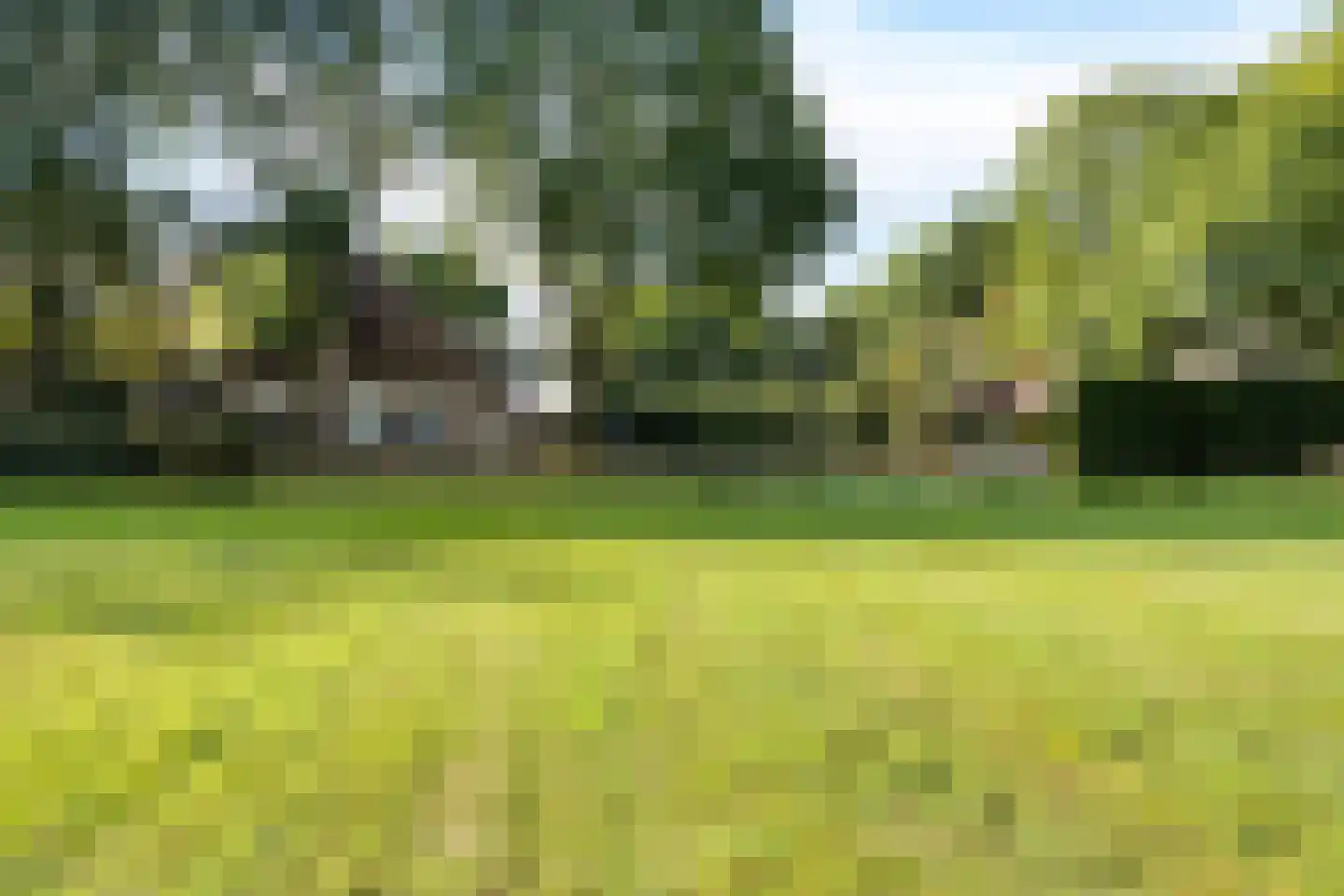 Leeuwte 43 Sint Jansklooster thumbnail 5