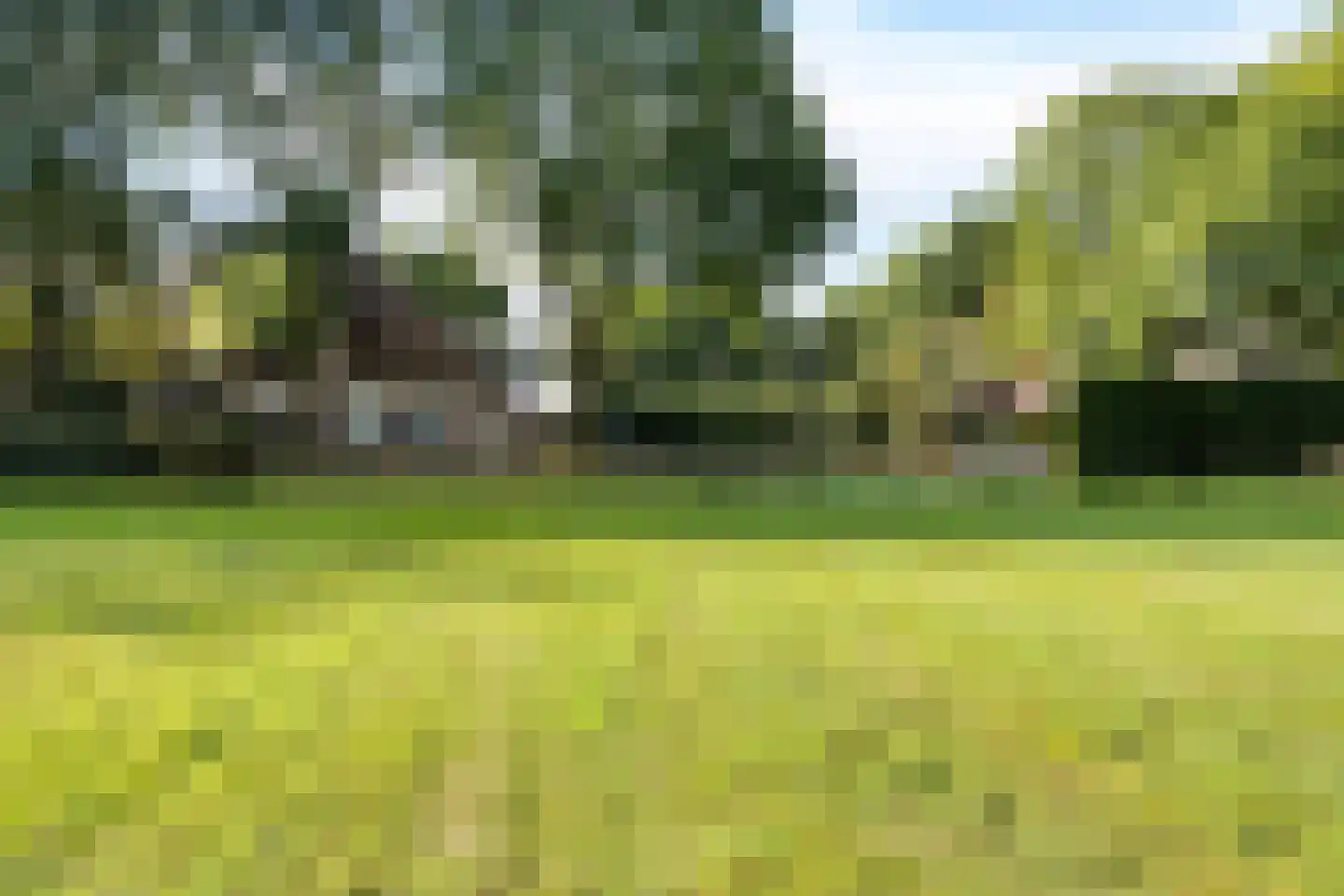 Leeuwte 43 Sint Jansklooster thumbnail 5