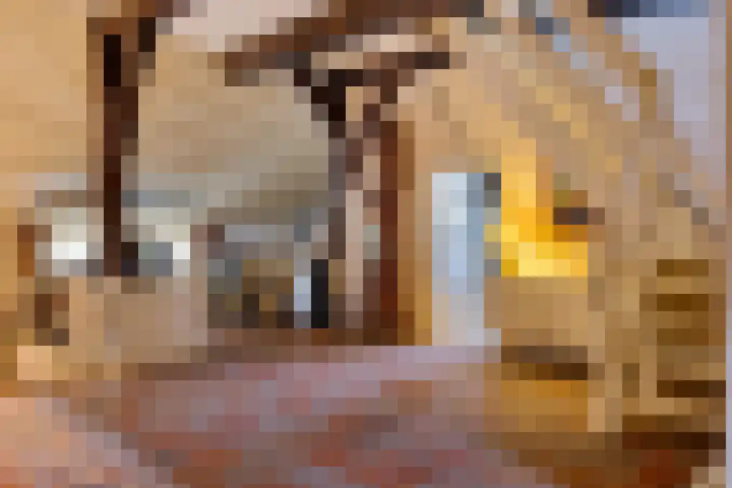 Leeuwte 43 Sint Jansklooster thumbnail 55