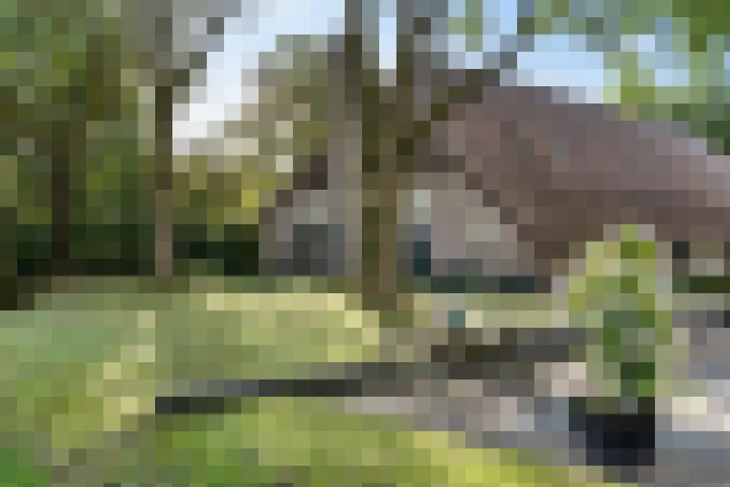 Leeuwte 43 Sint Jansklooster thumbnail 6
