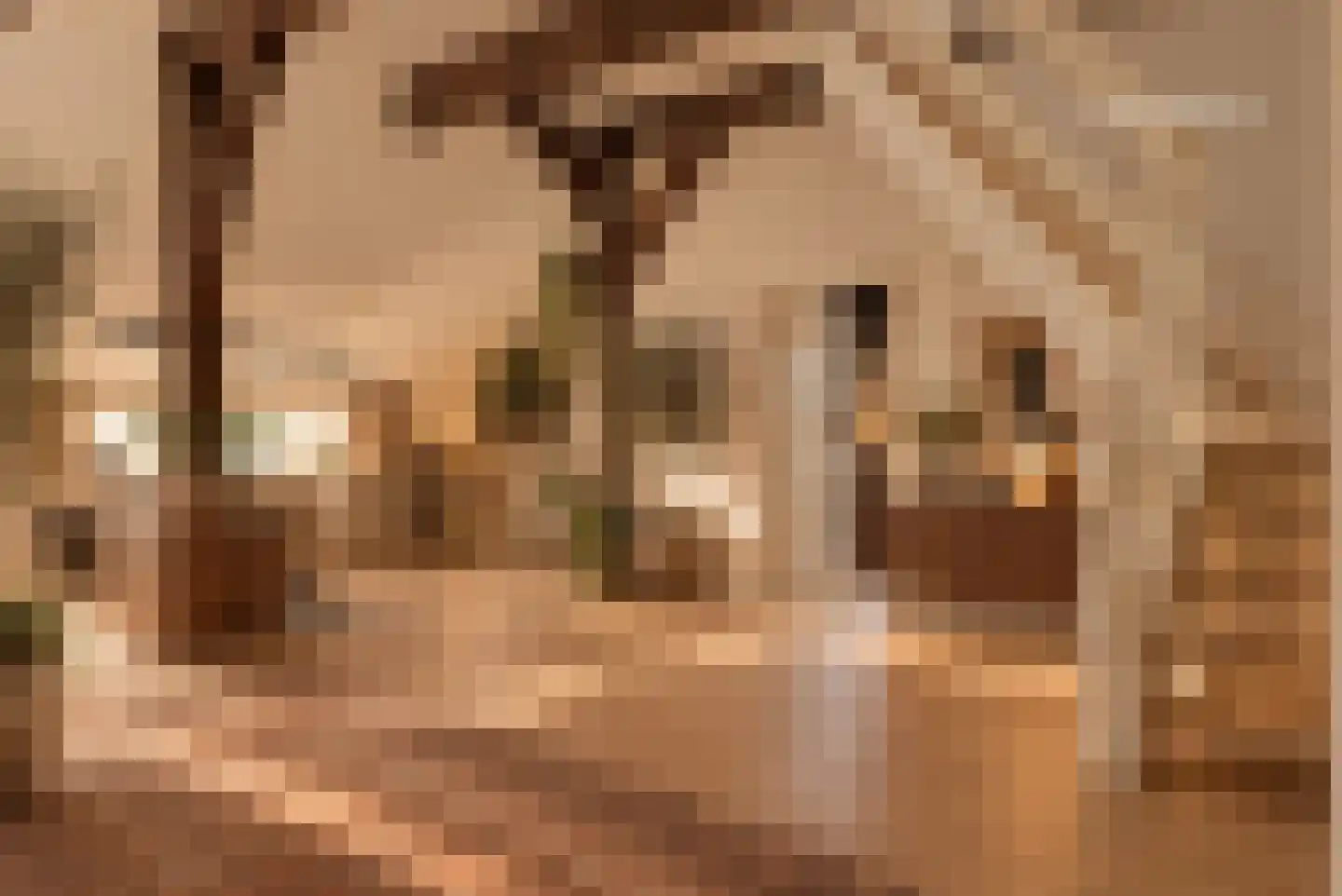 Leeuwte 43 Sint Jansklooster thumbnail 60