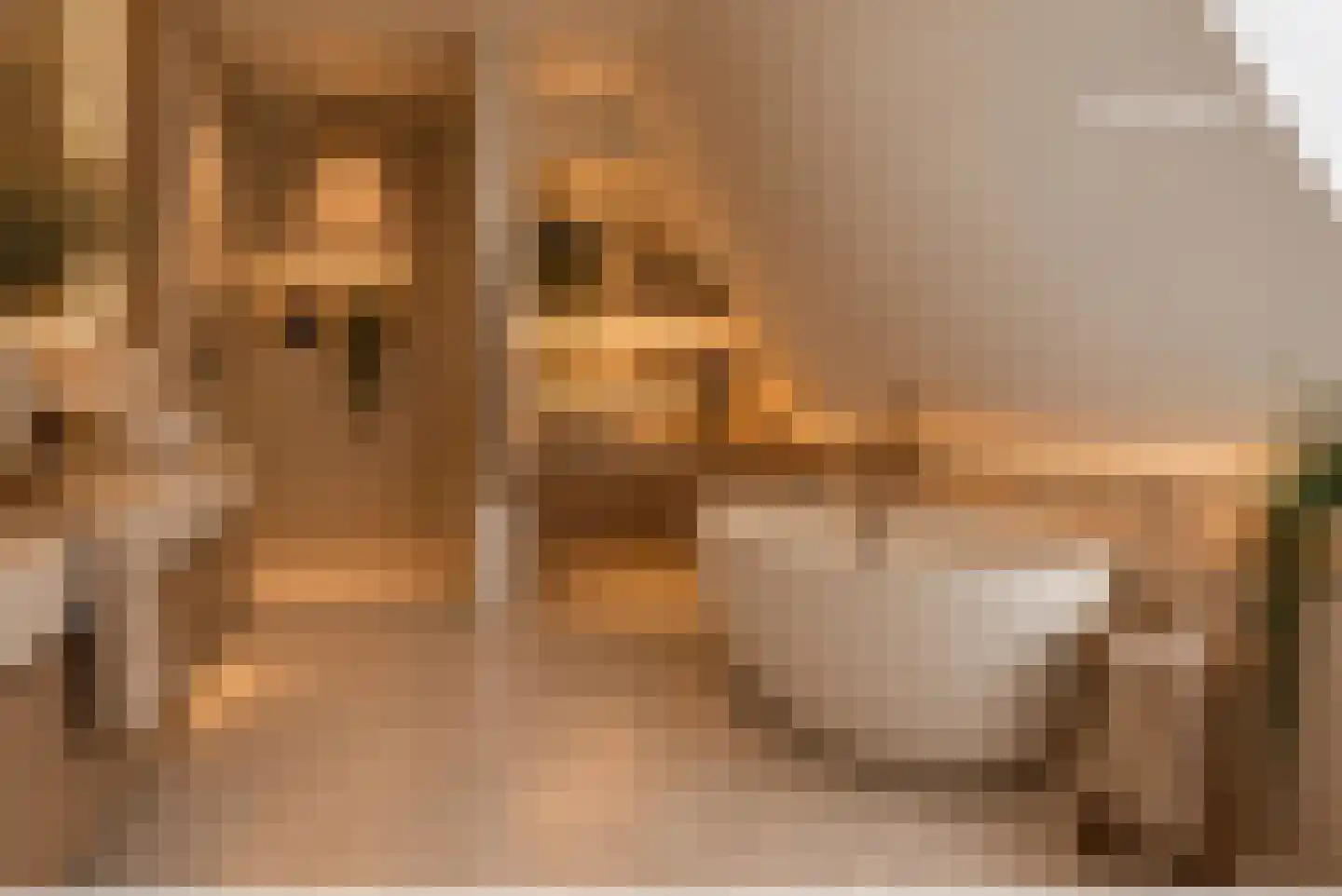 Leeuwte 43 Sint Jansklooster thumbnail 66
