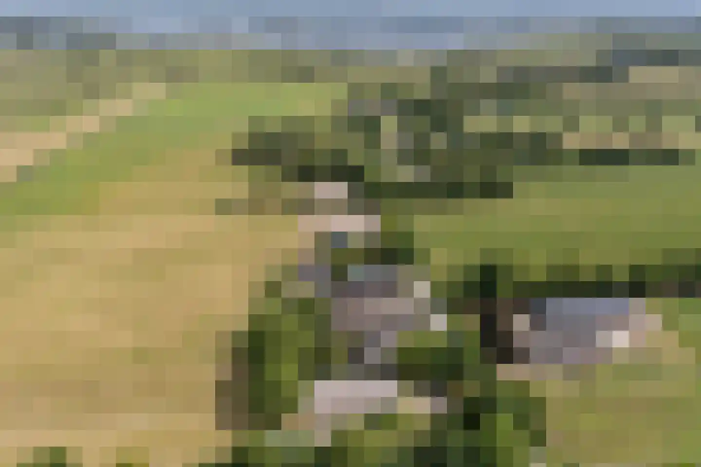 Leeuwte 43 Sint Jansklooster thumbnail 67
