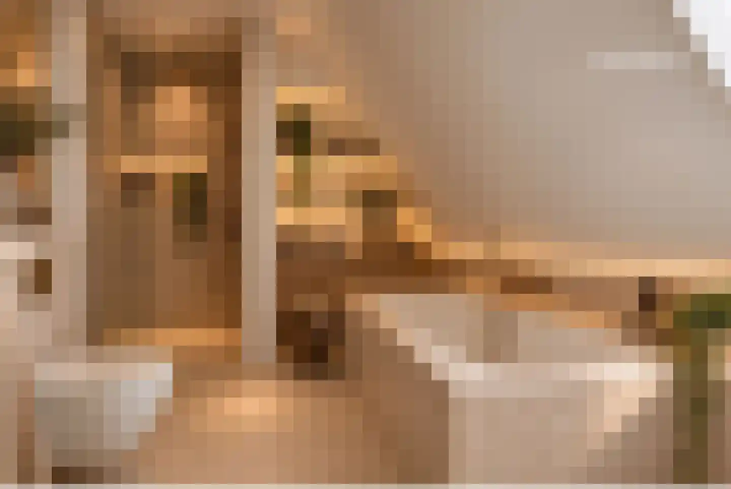 Leeuwte 43 Sint Jansklooster thumbnail 67