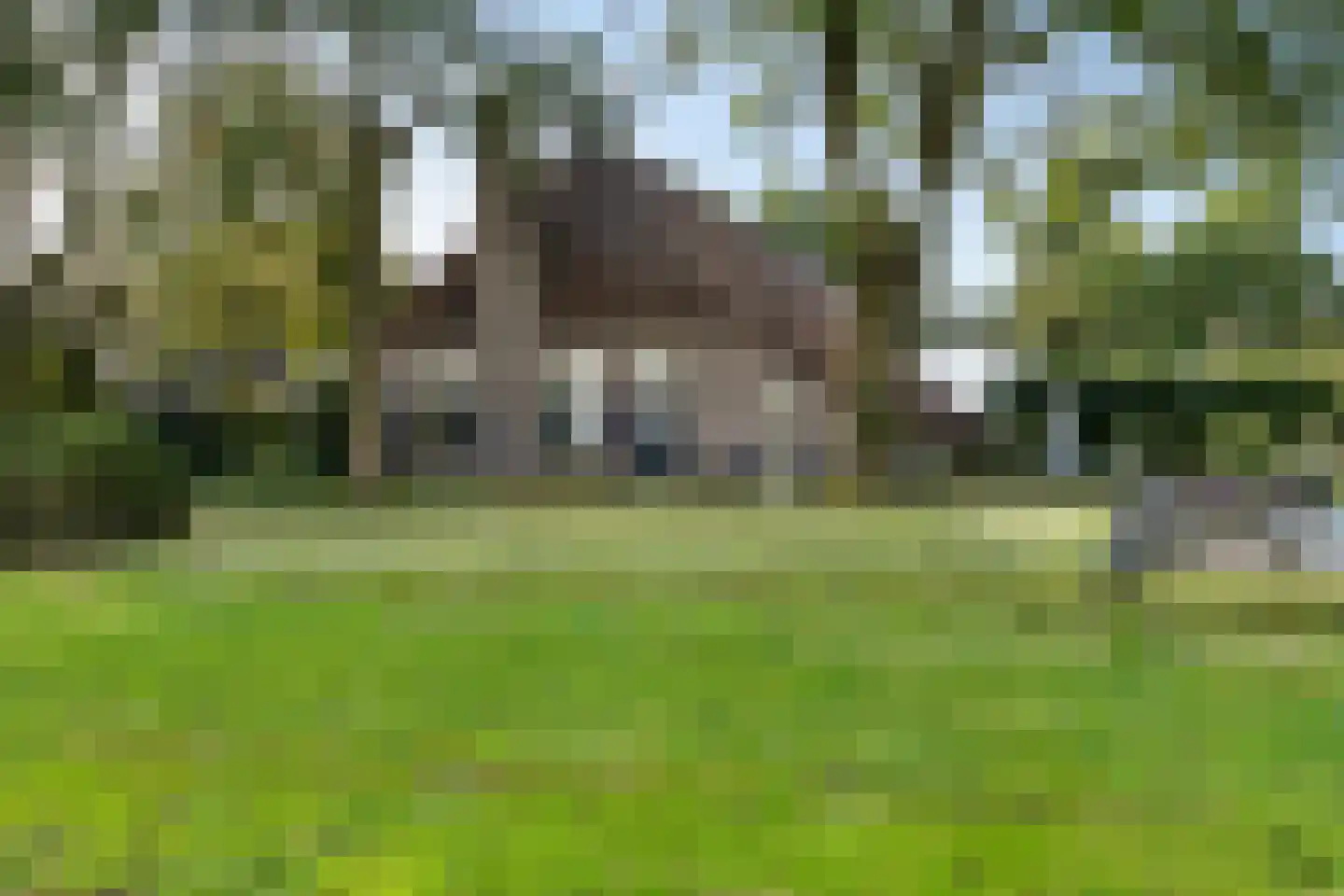 Leeuwte 43 Sint Jansklooster thumbnail 7