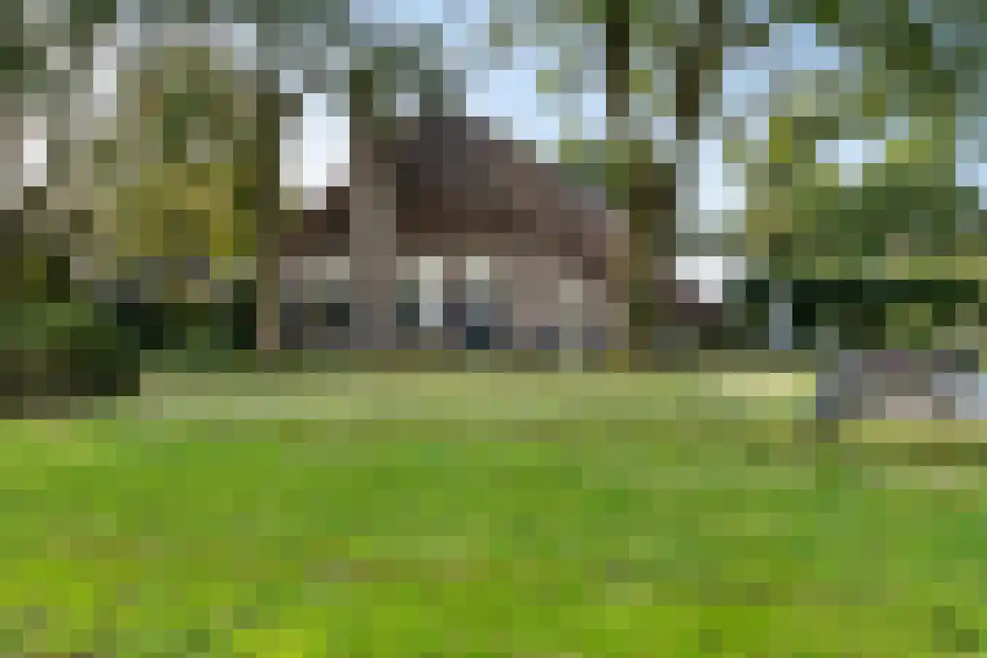 Leeuwte 43 Sint Jansklooster thumbnail 8
