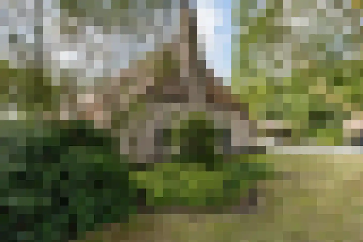 Leeuwte 43 Sint Jansklooster thumbnail 9