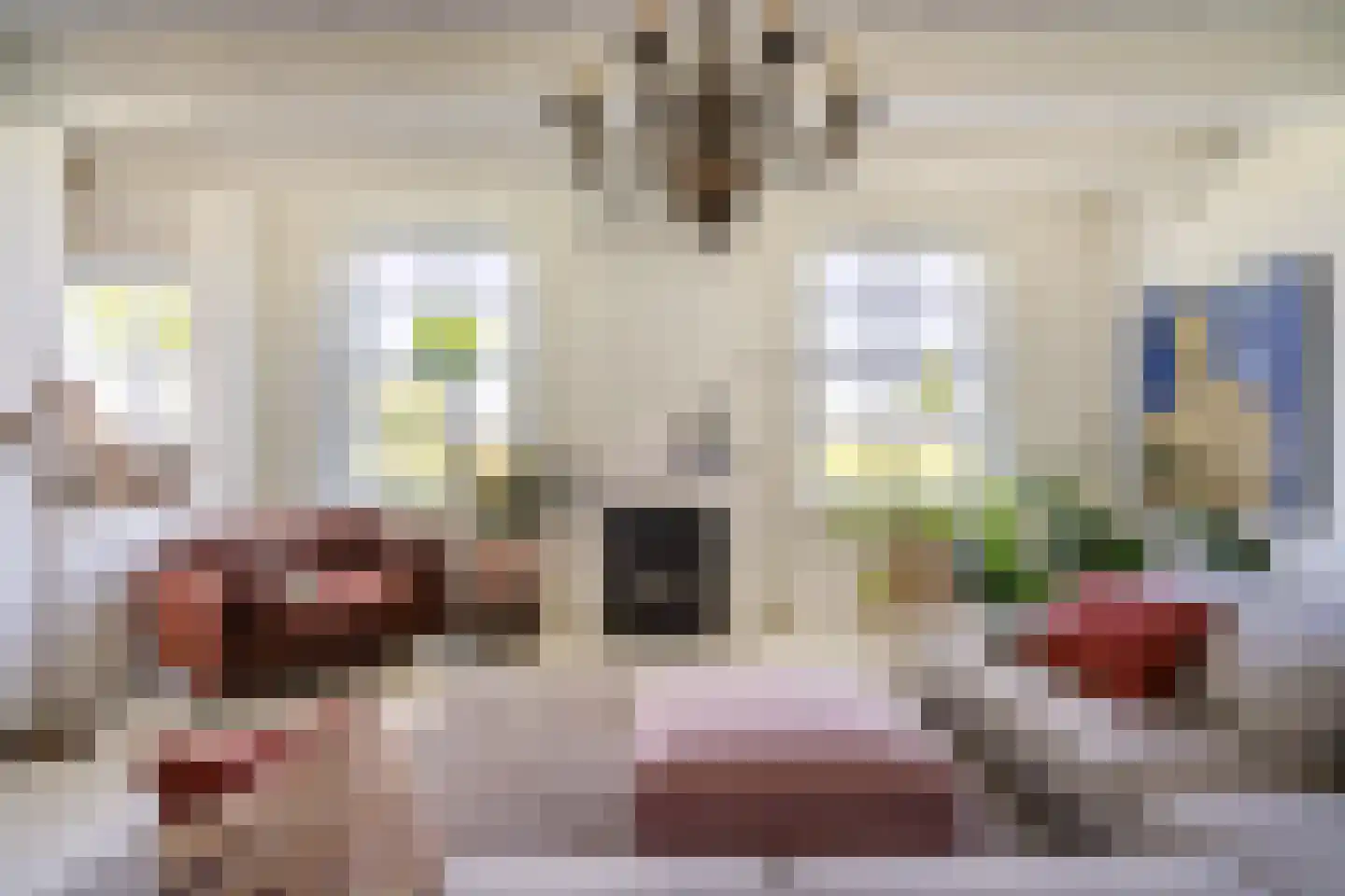 Leeuwte 51 Sint Jansklooster thumbnail 22