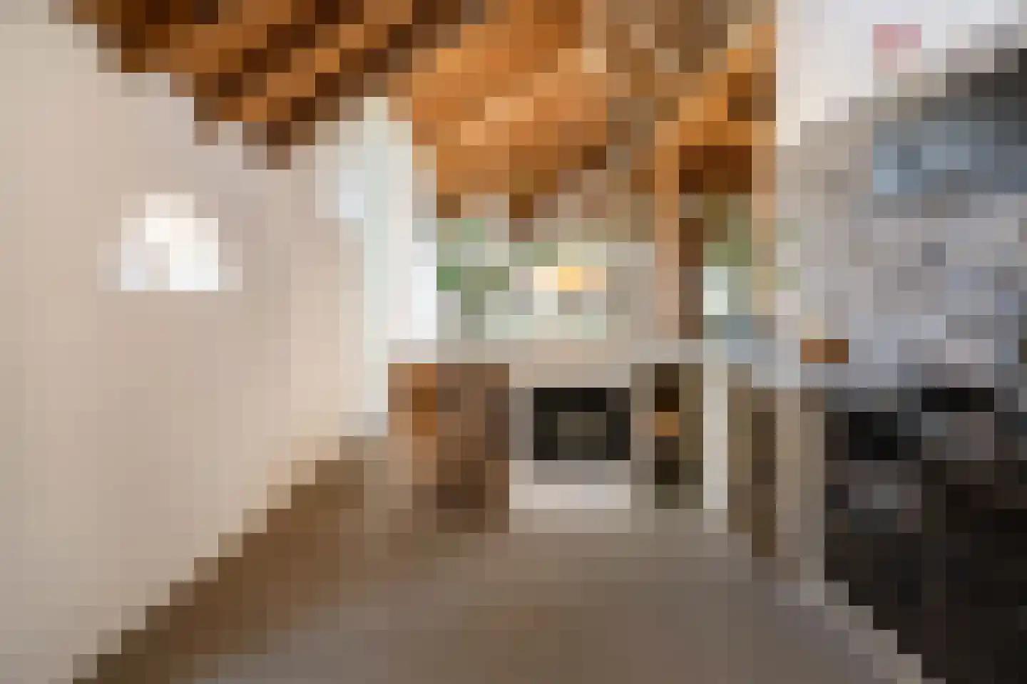 Leeuwte 51 Sint Jansklooster thumbnail 31
