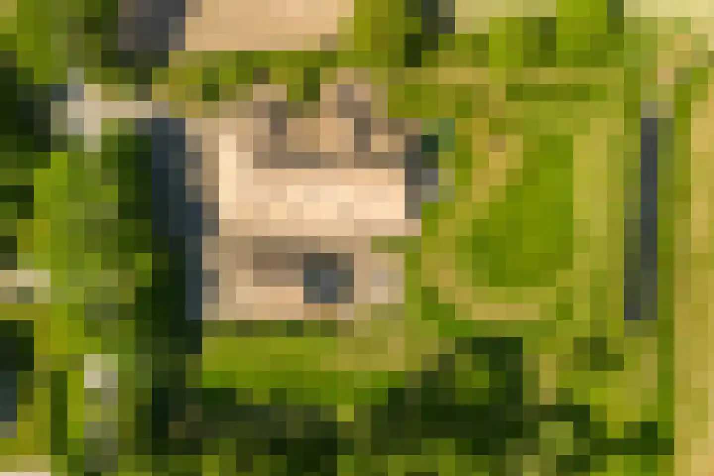 Leeuwte 51 Sint Jansklooster thumbnail 4