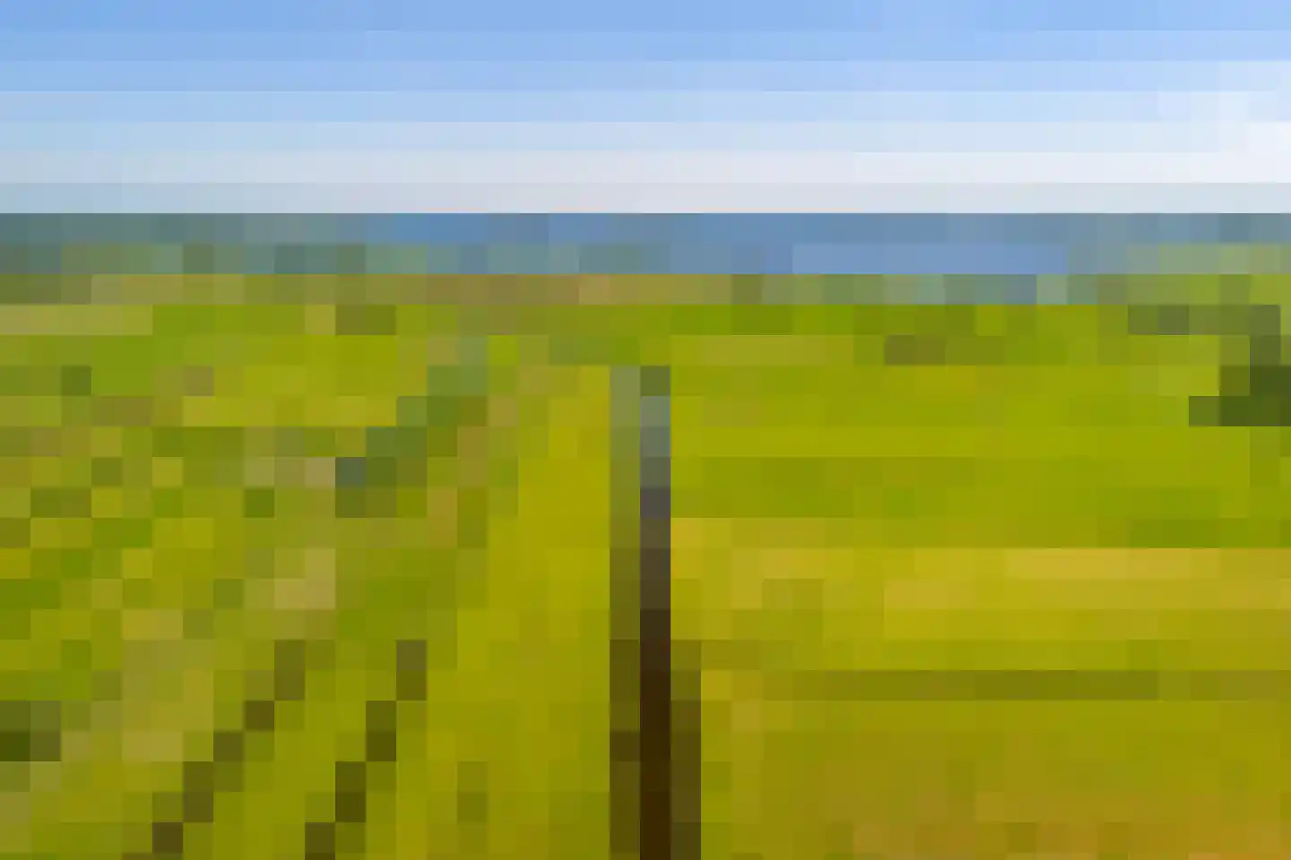 Leeuwte 51 Sint Jansklooster thumbnail 5
